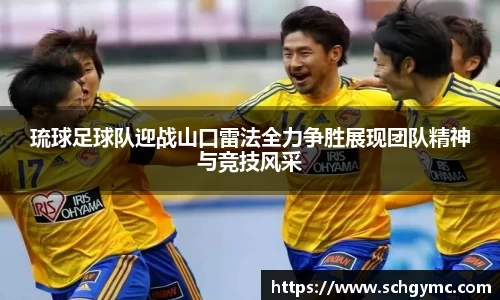 金沙娱场城app